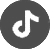 tiktok logo link
